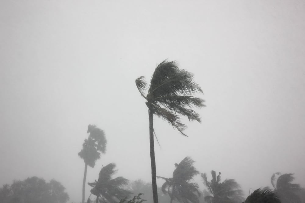 Florida thunderstorm